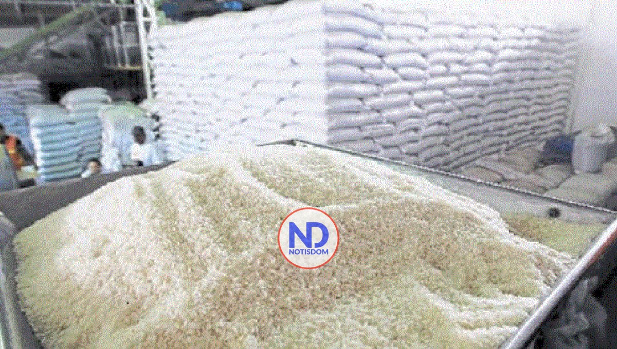 Gobierno dominicano mantiene prohibición de exportar arroz