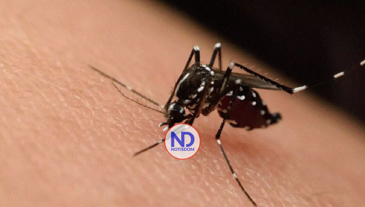 Vacuna contra el chikungunya muestra resultados prometedores en un ensayo de fase 2