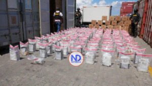 La DNCD ocupa 728 paquetes de cocaína en el Puerto Caucedo
