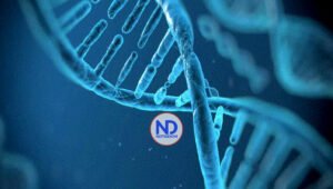 El ADN revela las migraciones humanas en la Edad de Hielo desde China hacia América