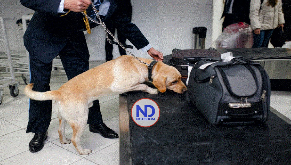 Detienen a dominicana con cerca de 12.000 pastillas de éxtasis en aeropuerto de Paraguay