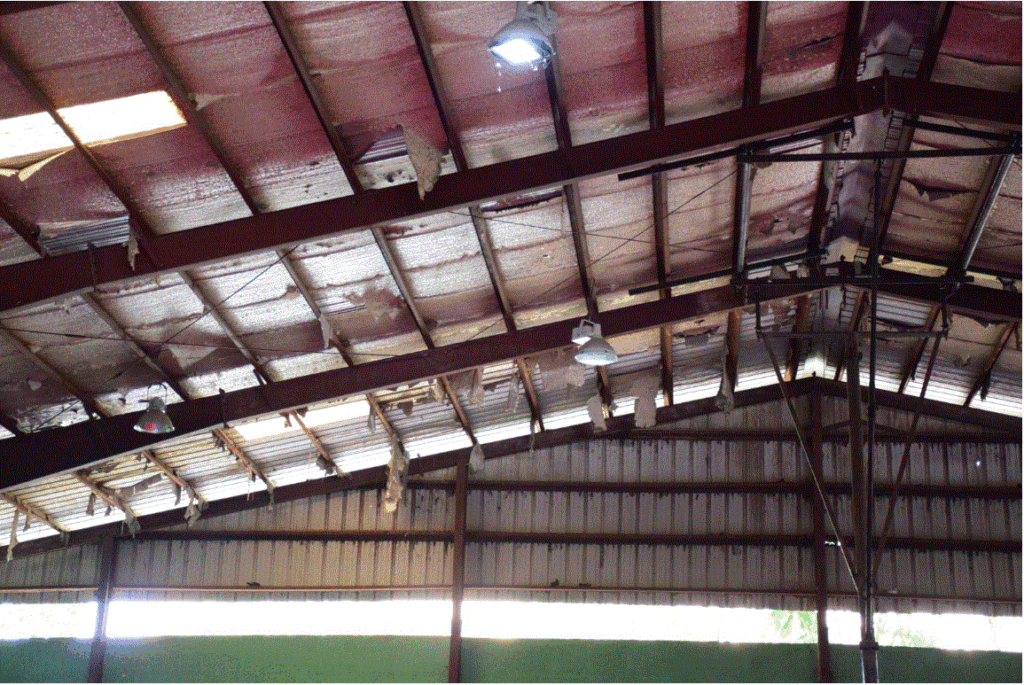 Alcalde y ministro de Deportes anuncian obras en SDO 3 HOJAS DE CIN Alcalde y ministro de Deportes anuncian obras en SDO