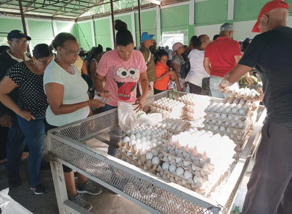 Puertoplateños compran alimentos a precios módicos en Mercado de Productores del INESPRE 3 INESPRE 24 Puertoplateños compran alimentos a precios módicos en Mercado de Productores del INESPRE