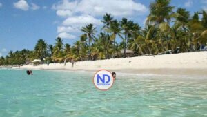 Turistas no podrán llevar recipientes plásticos a la Isla Saona y Catalina