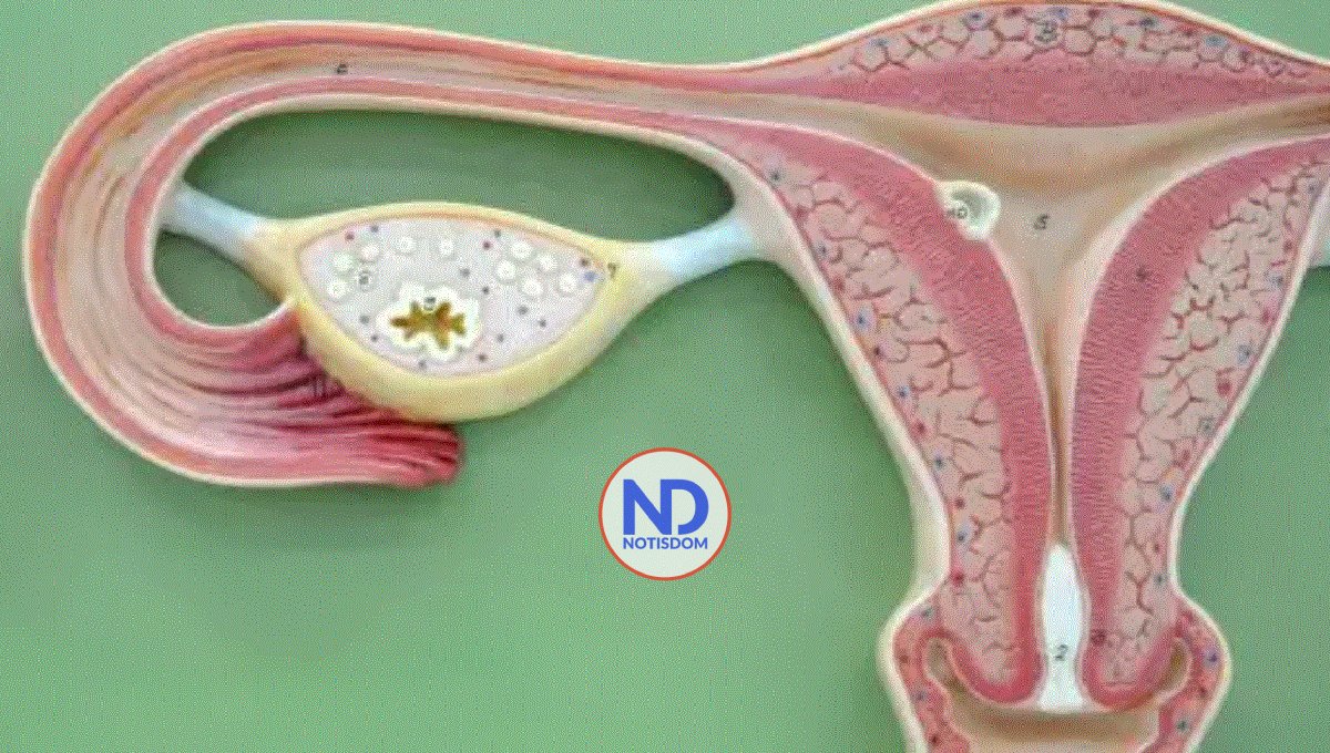 Día mundial del cáncer de ovario