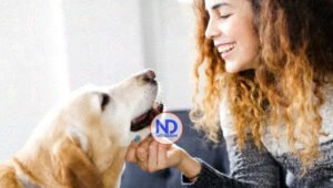 Qué enfermedades te pueden transmitir las mascotas