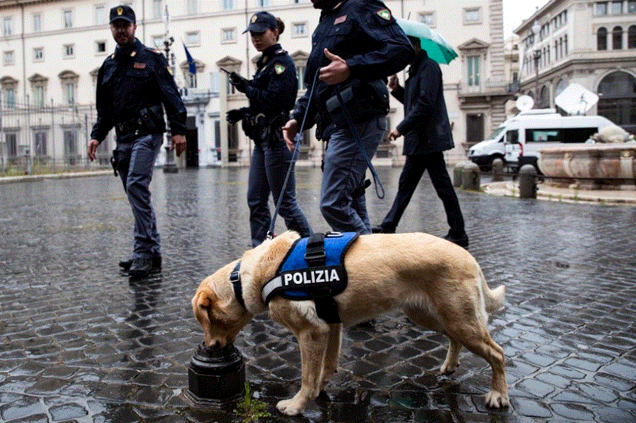 PERRO POLICIA Zelenski es recibido en Roma con honores, se reunirá con el Papa