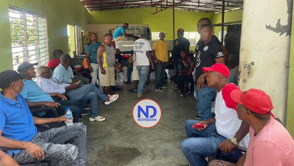 Productores de cebolla denuncian Gobierno les adeuda RD$205 MM 2 Productores de cebolla denuncian Gobierno les adeuda RD$205 MM