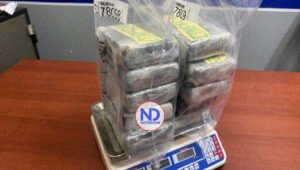 Cinco detenidos y 10 paquetes de cocaína incautados en Santiago