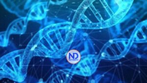 La pérdida del cromosoma Y en los hombres, con la edad, favorece el crecimiento del cáncer