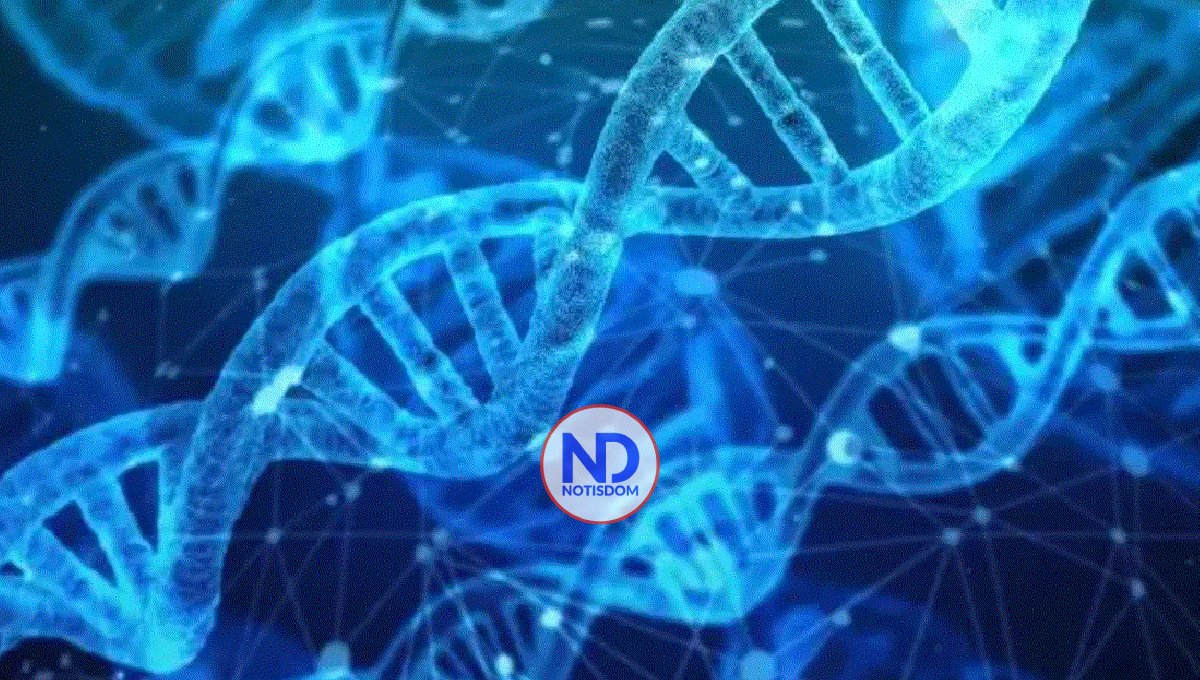 La pérdida del cromosoma Y en los hombres, con la edad, favorece el crecimiento del cáncer