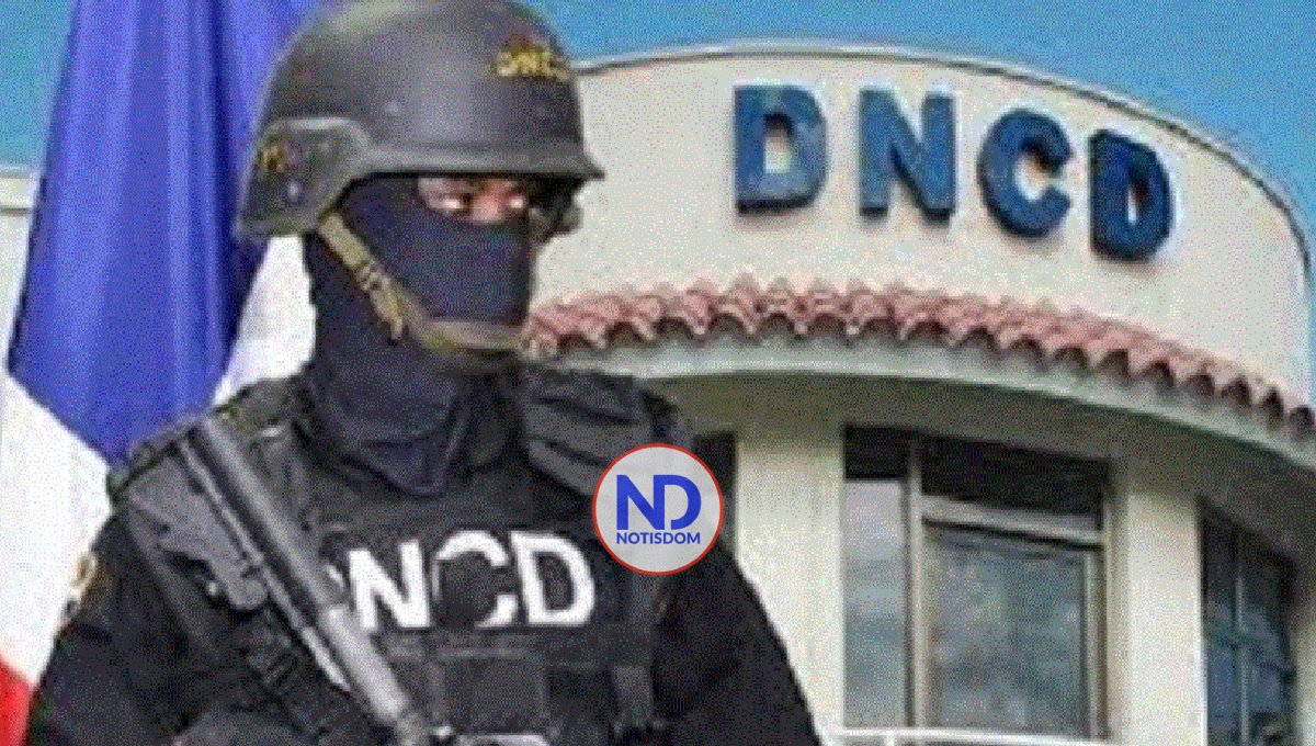 Detienen a 49 personas e incautan 7 kilos droga en varios operativos