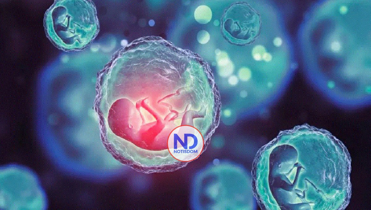 Científicos crean embriones humanos sintéticos con células madre sin óvulos ni esperma