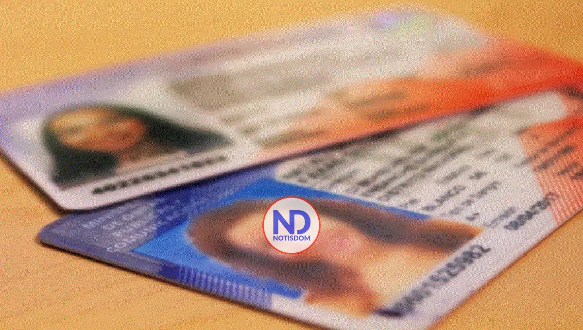 Licencias de conducir RD serán homologadas en Nueva York