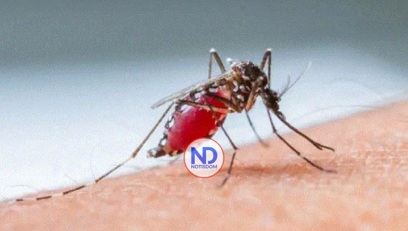 EE.UU. emite alerta por cinco casos de transmisión local de malaria en Florida y Texas