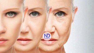 Descubren una proteína esencial en el envejecimiento de la piel