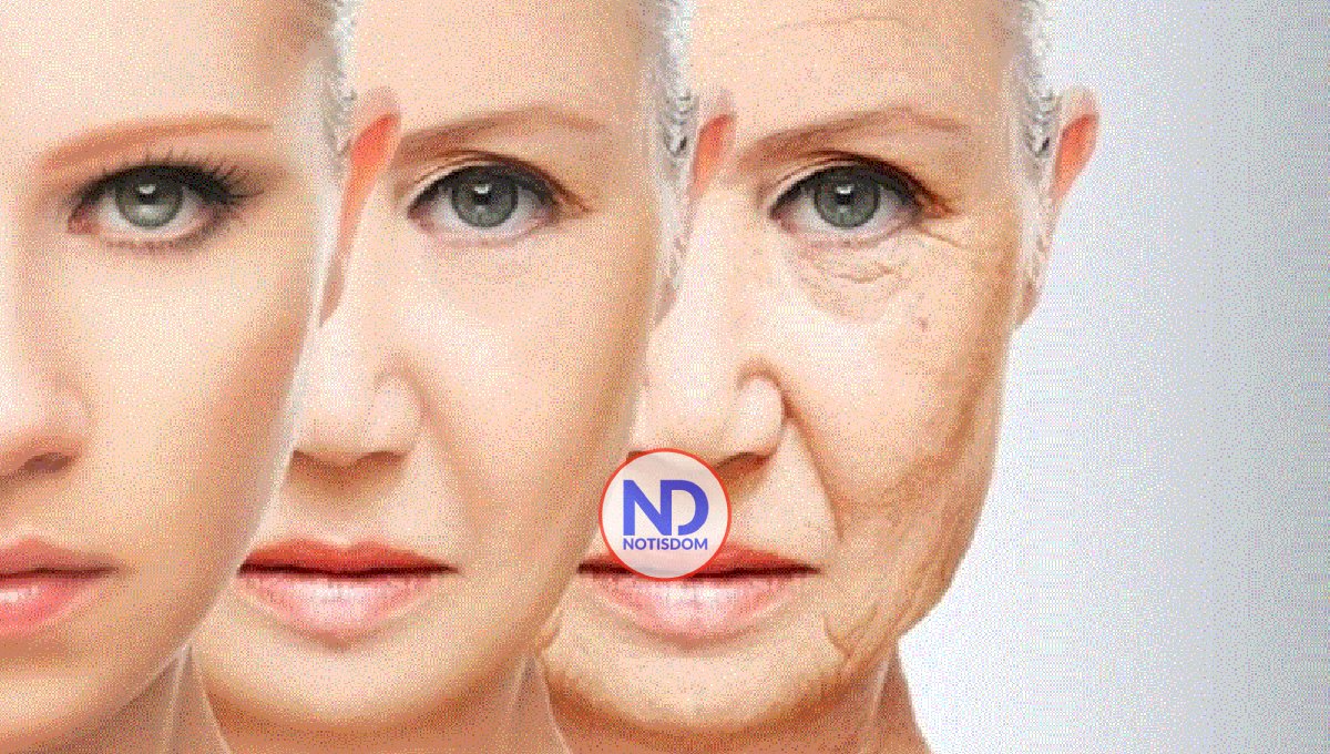 Descubren una proteína esencial en el envejecimiento de la piel