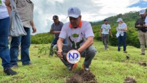 Comienza la siembra de miles de árboles en cuencas hidrográficas
