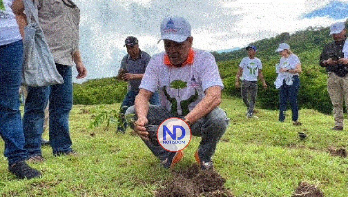 Comienza la siembra de miles de árboles en cuencas hidrográficas