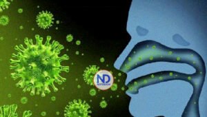 Estudio explica cómo virus gripal logra penetrar en células para infectarlas