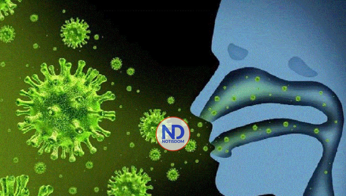 Estudio explica cómo virus gripal logra penetrar en células para infectarlas
