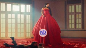 ¡Con un actor como Anuel! Yailin lanza controversial video «Narcisista»