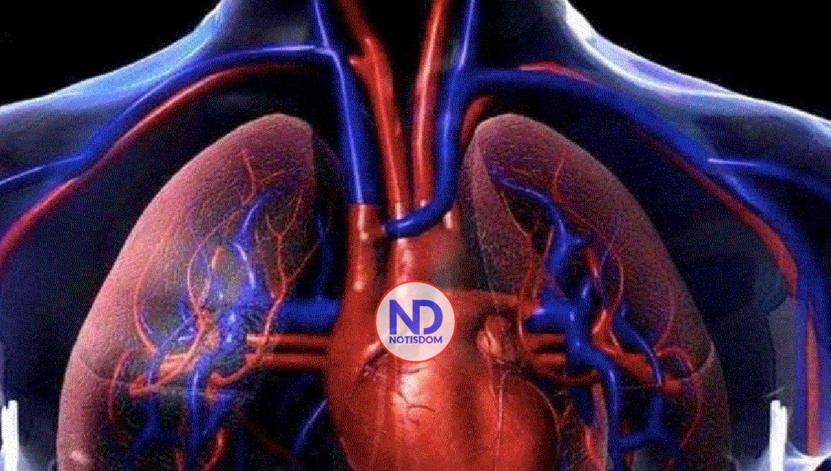 ¿Qué es la hipertensión pulmonar?