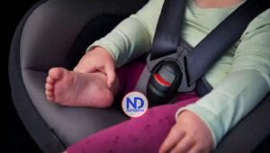 Muere por un golpe de calor una bebé de 10 meses olvidada en un auto en Florida