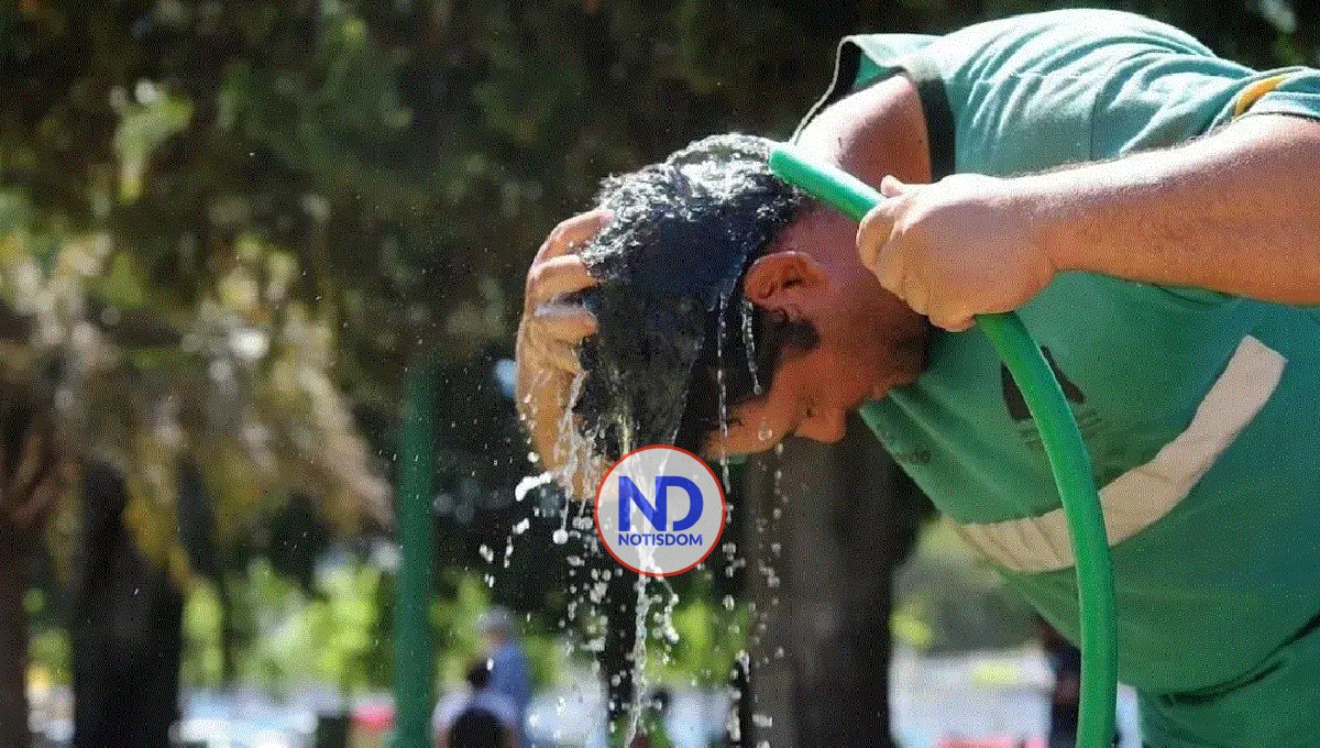 El calor extremo impacta en el cerebro y puede poner en riesgo el bienestar mental