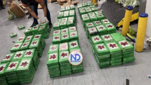 Ocupan 400 paquetes de cocaína camuflados en carga de guineos