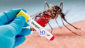 La mitad de la población mundial en riesgo de contraer dengue
