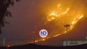 Al menos cuatro muertos por incendios forestales en el sur de Italia
