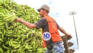 Anuncian feria “Inespre Está Padrísimo” en Santo Domingo Este