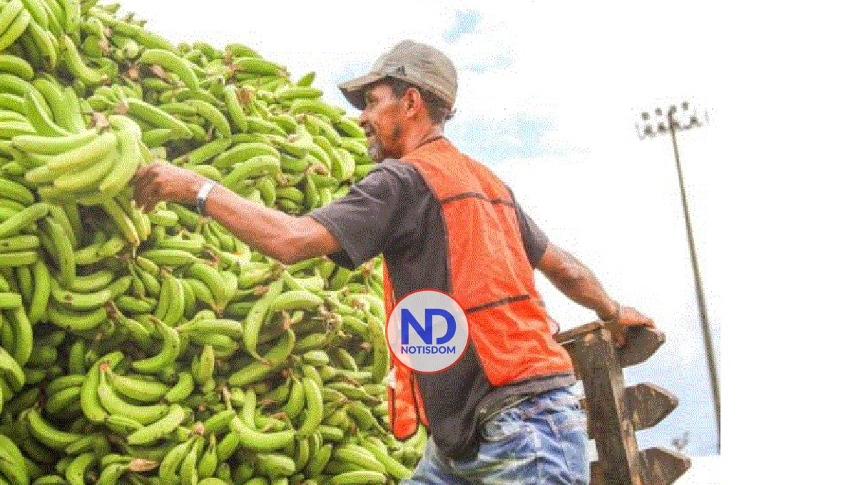 Anuncian feria “Inespre Está Padrísimo” en Santo Domingo Este