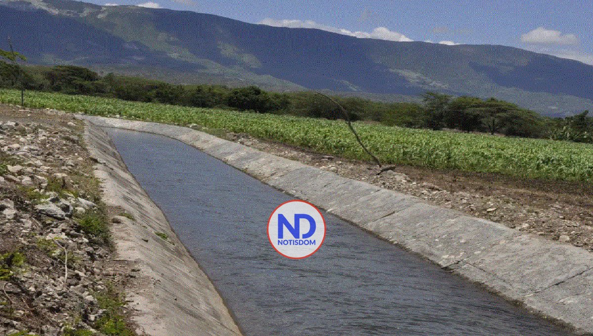 Innovación agrícola permite producir más en menos tierras 2 Innovación agrícola permite producir más en menos tierras