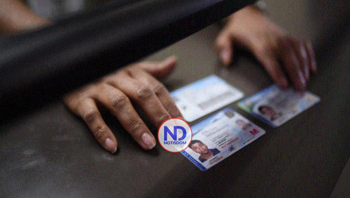 Senado en NY aprueba homologar licencias conducir dominicanas 2 Senado en NY aprueba homologar licencias conducir dominicanas