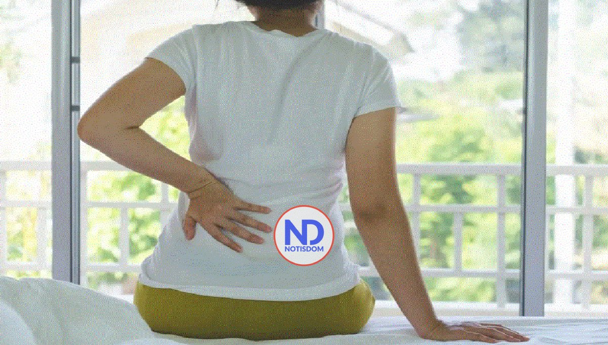 Cómo daña el exceso de consumo de sal los riñones