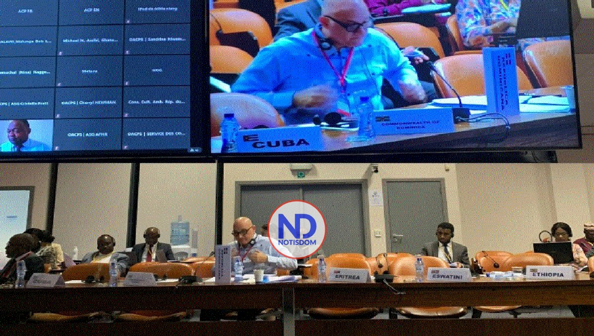 PAVEL ISA CONTRERAS (2)