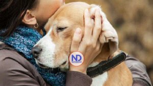 Las mascotas no benefician salud emocional de enfermos mentales