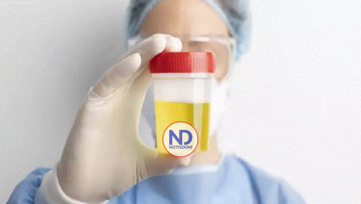 Una muestra de orina puede diagnosticar el cáncer de endometrio