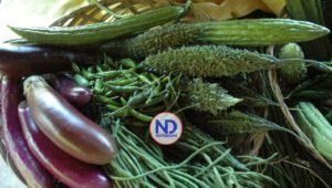 OMS recomienda adultos consuman al menos 400 gramos verduras al día