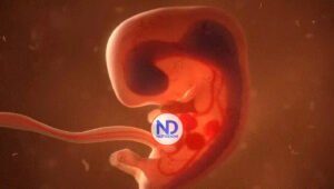 Un juez bloquea la ley que veta la mayoría de abortos en Iowa a partir de las seis semanas