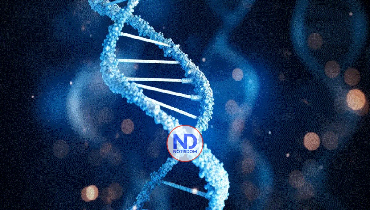 Descifrado el cromosoma Y, última pieza del genoma humano completo