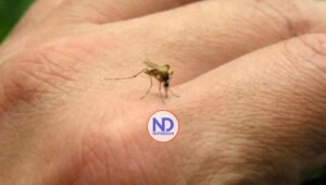 Dos niños en Guyana mueren a causa del virus del dengue