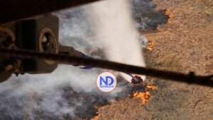 Aumentan a 53 muertos en Hawái por los incendios forestales