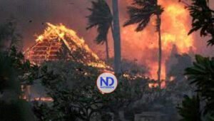 Los incendios forestales en Hawái dejan ya 80 muertos y cerca de 1.000 desaparecidos