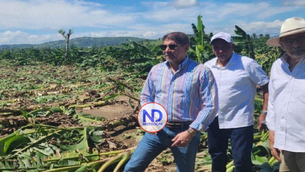Tornado arrasa granjas y cultivos de plátano en campos de La Vega 