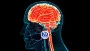 Qué es el síndrome vespertino y por qué lo padecen muchas personas con demencia