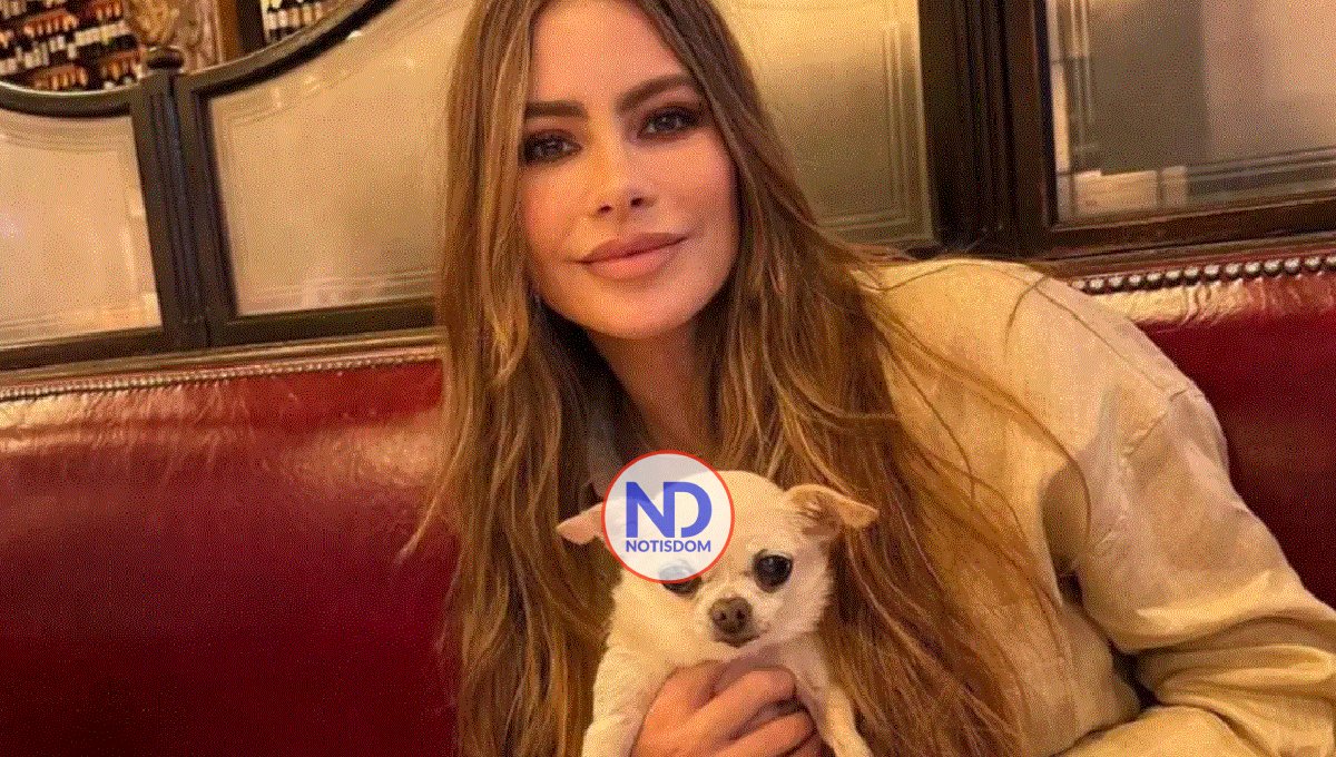 Sofía Vergara toma drástica decisión sobre la custodia de su perro ‘Bubbles’ 2 Sofía Vergara toma drástica decisión sobre la custodia de su perro ‘Bubbles’