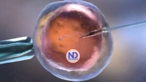 Nace el primer bebé tras la legalización de la inseminación post-mortem